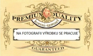 MÍŠENINKA ŠALVĚJOVÁ MM3